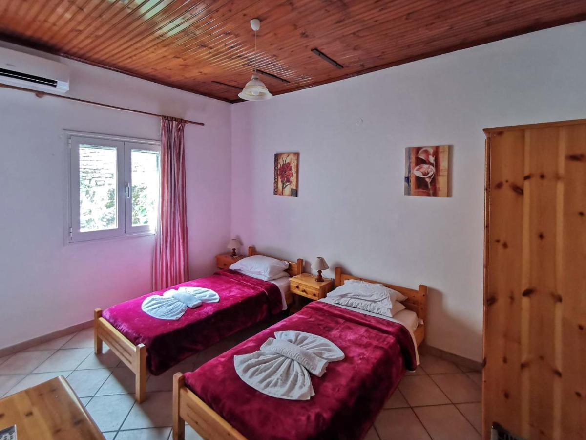 Elena Villa *